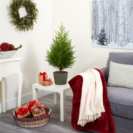 3ft. Unlit Norfolk Island Pine Artificial Potted Christmas Tree